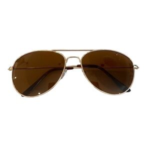 NECTAR Classic Brown Aviator Sunglasses